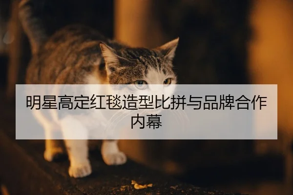 ming-xing-gao-ding-hong-tan-zao-xing-bi-pin-yu-pin-pai-he-zuo-nei-mu-2-873.jpg